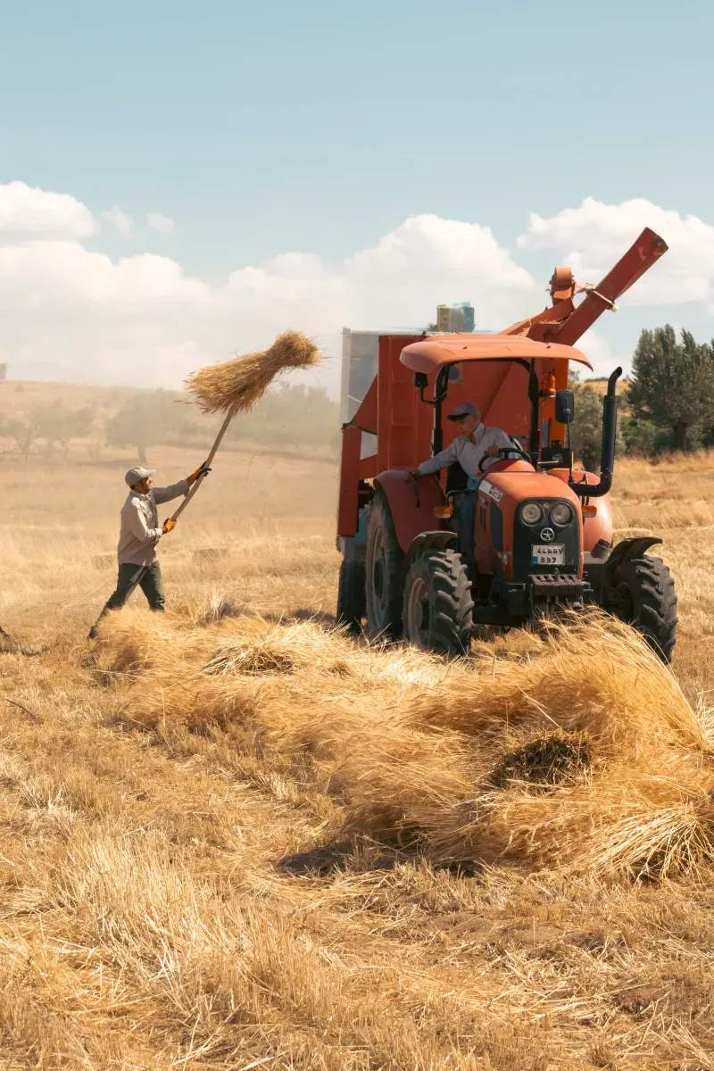 Cómo planificar la campaña agrícola con más antelación