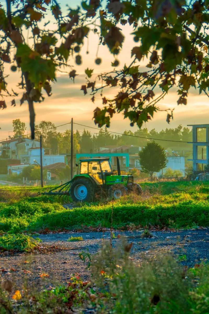 Buenas prácticas para mejorar la organización en almacén agrícola