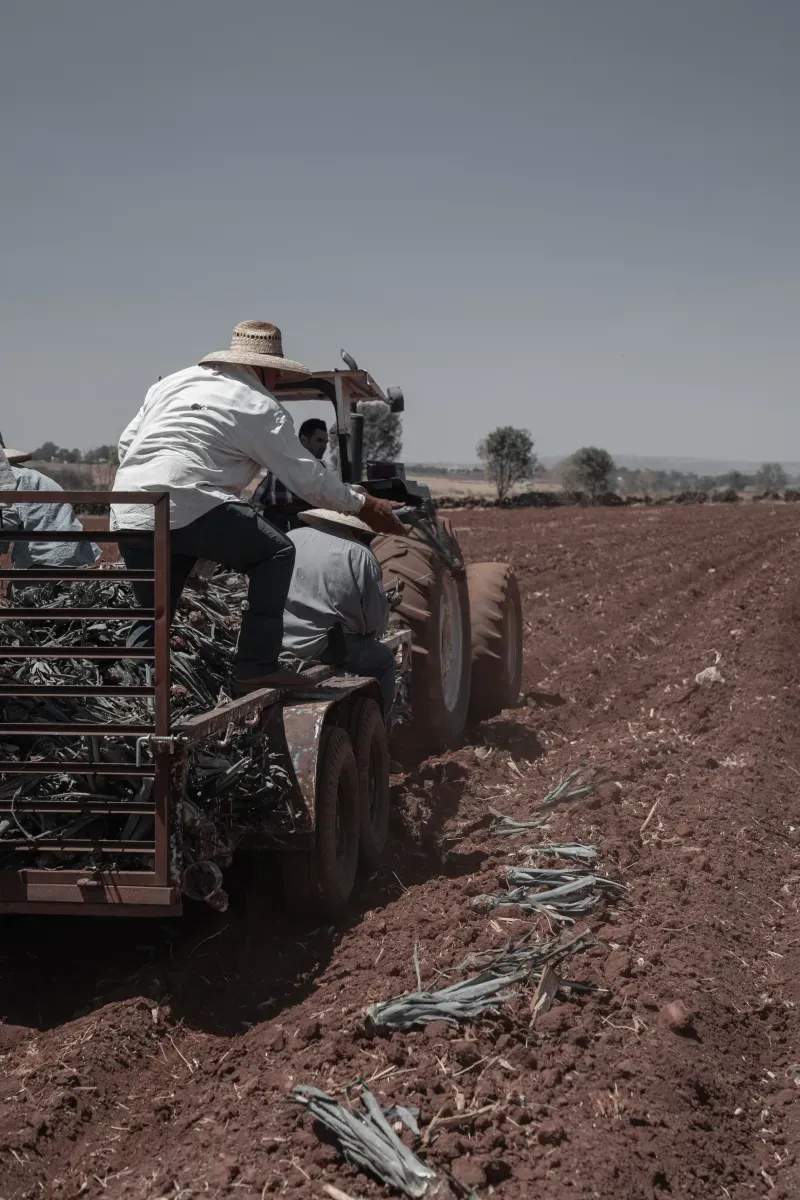 Mejorando la coordinación de pedidos para entregas en campo